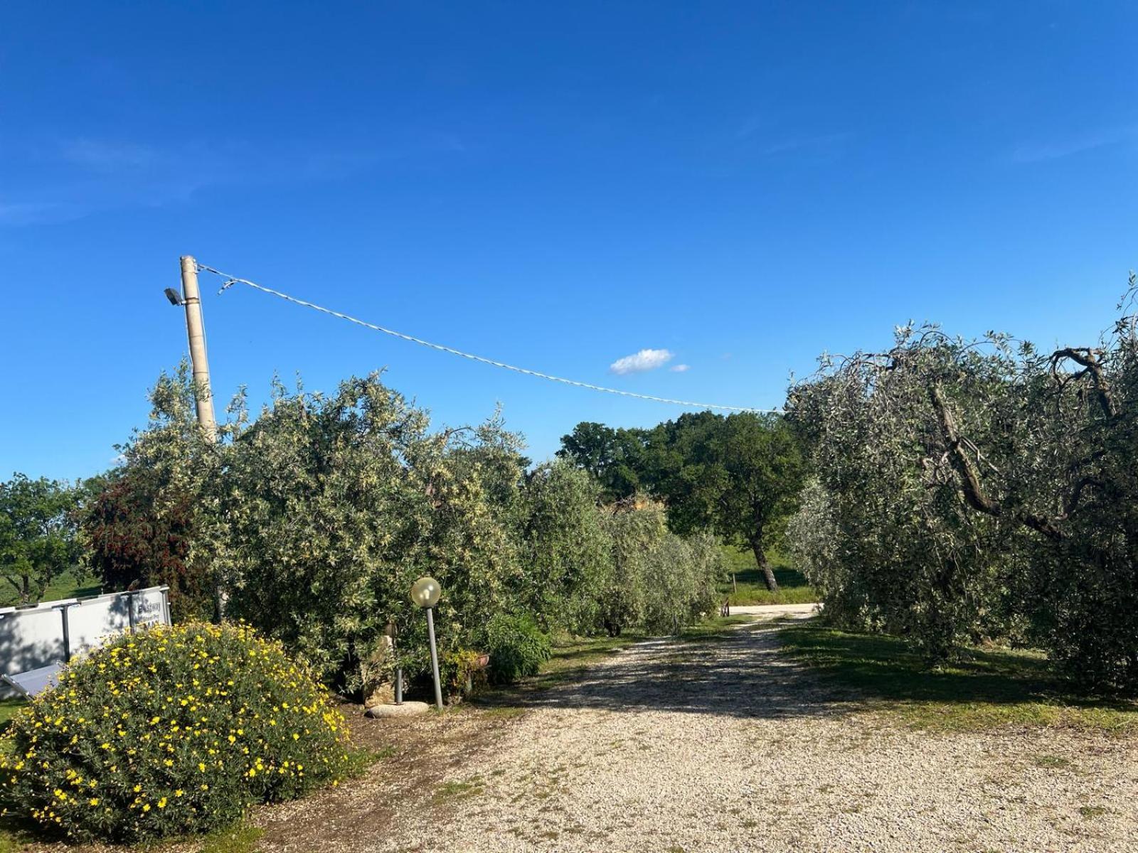 Agriturismo La Castellina Saturnia Exterior photo
